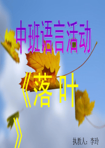 中班上语言《树叶》