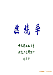 哈尔滨工业大学燃烧工程研究所