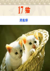 2017年秋部编版七年级语文上册17-《猫》说课课件-(共29张PPT)(共29张PPT)