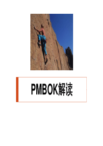 PMBOK项目管理图文解读(易学版)