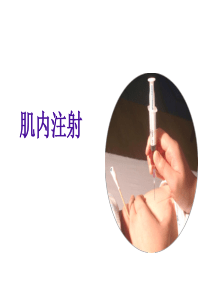 肌肉注射-PPT(精)