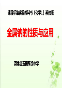 金属钠的性质与应用(公开课)