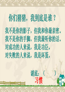 小学生行为习惯的养成教育PPT