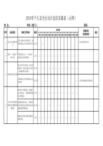 个人安全行动计划及实施表(示例)