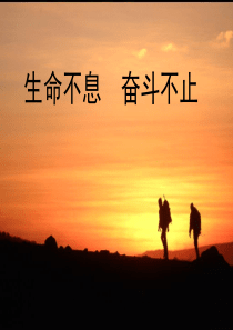 生命不息-奋斗不止