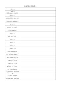 工程项目信息表