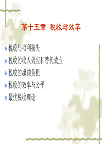 财政学-第十五章-税收和效率