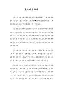 小学见习感悟