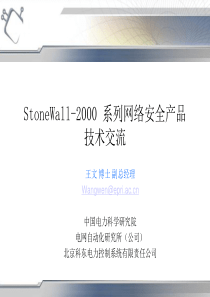 StoneWall-2000系列产品介绍ww