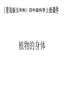青岛版科学四上《植物的身体》