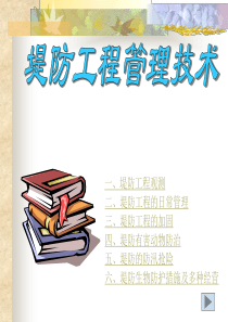 堤防工程管理技术