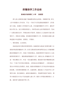 2016-2017控辍保学工作总结