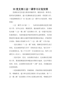 XX党支部三会一课学习计划安排