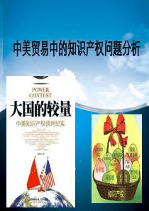 中美贸易中的知识产权问题分析