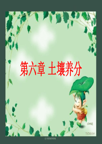 第六章土壤养分.