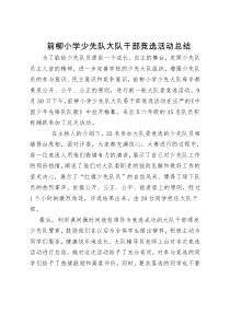 前柳小学少先队大队干部竞选活动总结