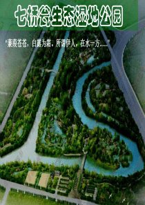 七桥瓮生态湿地公园