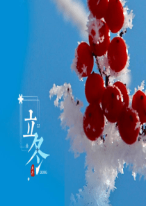 立冬PPT