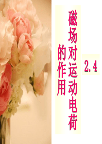2.4-磁场对运动电荷的作用