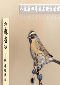 人教版语文四年级上册选读课文《麻雀》公开课课件