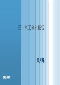 国电电力战略规划报告内外部分析