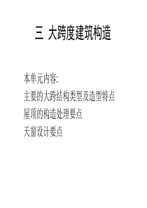 大跨度建筑构造
