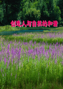 以及各种生态过程的多样性生物多样性的概念及价值遗传多样性