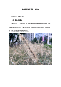 7手机摄影构图法则(下篇).pdf