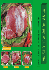 畜类原料及其制品全解