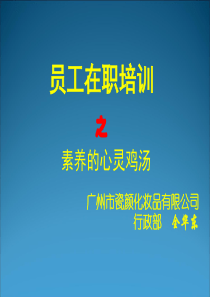 员工职业素养培训PPT课件