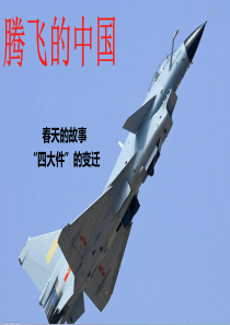 腾飞的中国(上)PPT