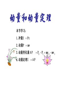 动量和动量定理
