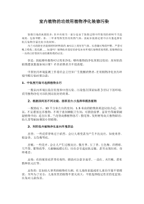 室内植物的功效用植物净化装修污染