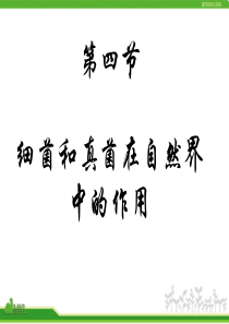 八年级上册细菌与真菌在自然界中的作用
