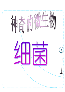 细菌PPT课件