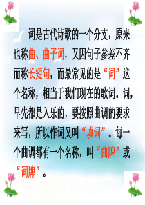 《如梦令》(常记溪亭日暮).ppt