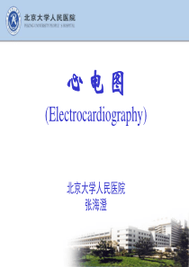 心电图20101118