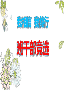 三一班干部竞选