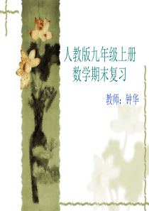 新人教版九年级上册数学期中复习