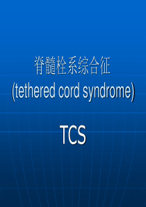 脊髓栓系综合征(