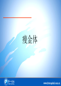 瘦金体