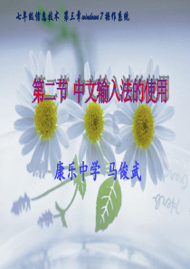 第二节-中文输入法的使用(讲稿)