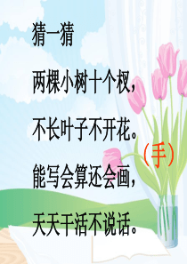 一年级语文上册《画》-ppt