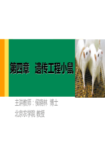 第五章-遗传工程小鼠