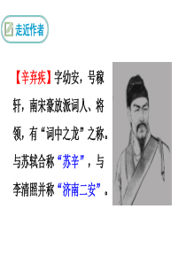 8.丑奴儿·书博山道中壁