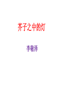 《芥子中的灯》阅读理解答案详解
