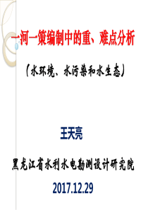 一河一策编制中的重点难点