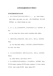 名词变复数规则及专项练习(高考复习专用)