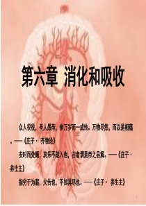 生理学课件-2017版-06消化和吸收-临床医学-人卫第八版