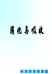 生理学消化与吸收